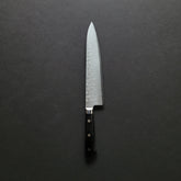Hitohira T10 Tsuchime Gyuto 210mm Pakka Handle