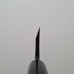 Hitohira Gorobei Blue #2 Deba 150mm Ho Wood Handle
