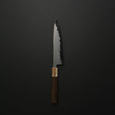 Hitohira Tanaka Izo Blue #1 Stainless Clad Gyuto 210mm Ziricote Handle