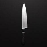 Hitohira Hiragana WS Gyuto 210mm Pakka Handle
