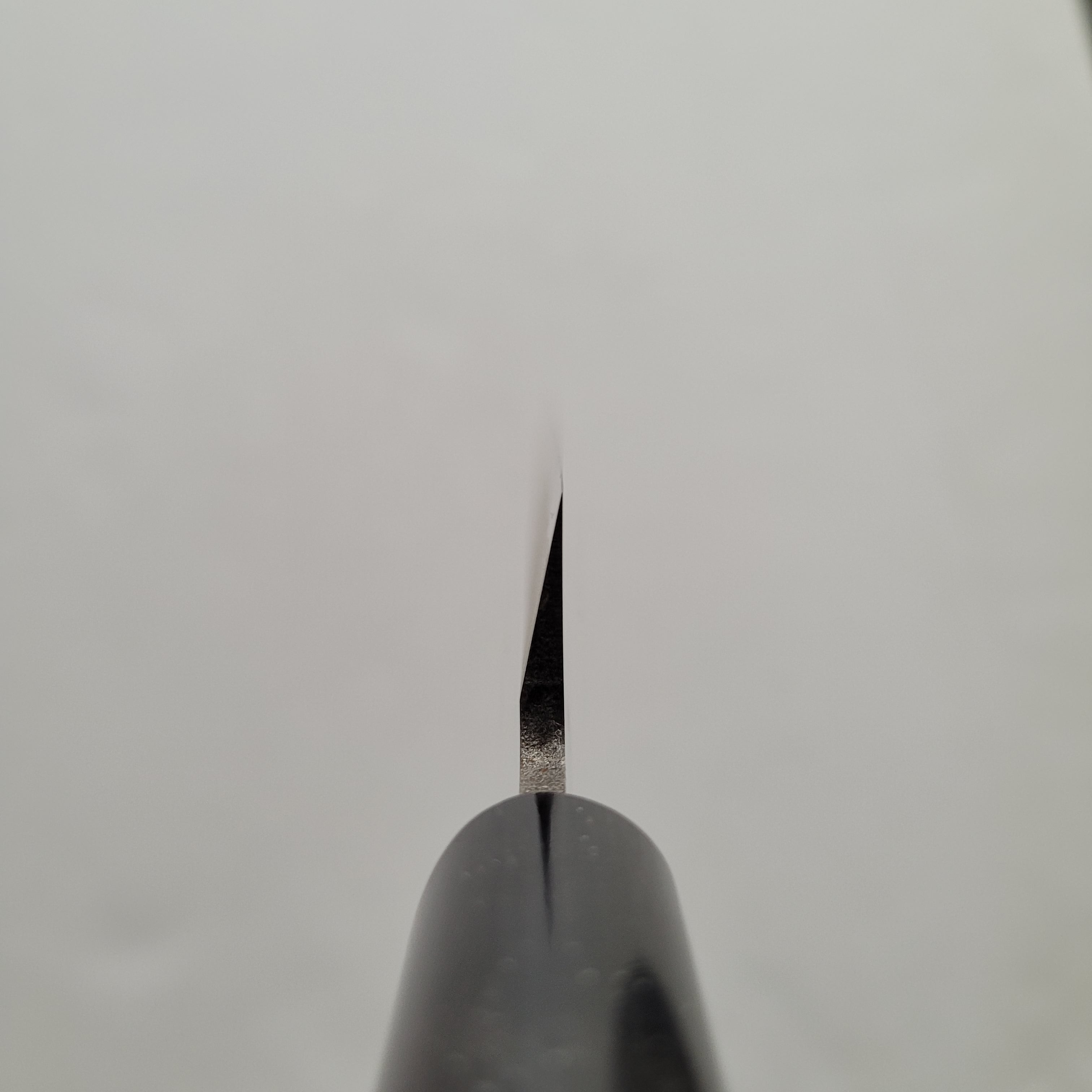 Hitohira Gorobei Blue #2 Yanagiba 240mm Ho Wood Handle (D-Shape)