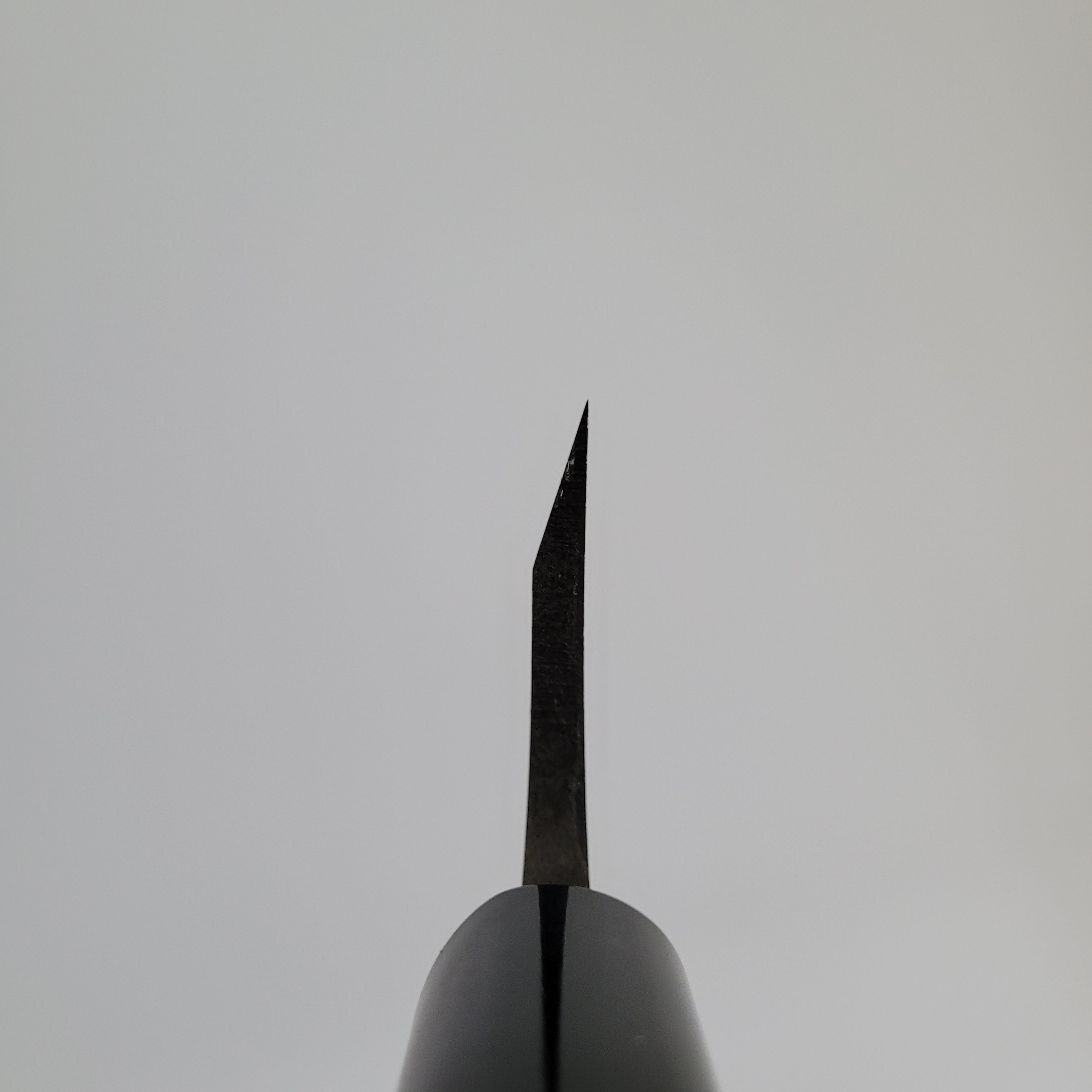 Hitohira Gorobei Blue #2 Deba 165mm Ho Wood Handle