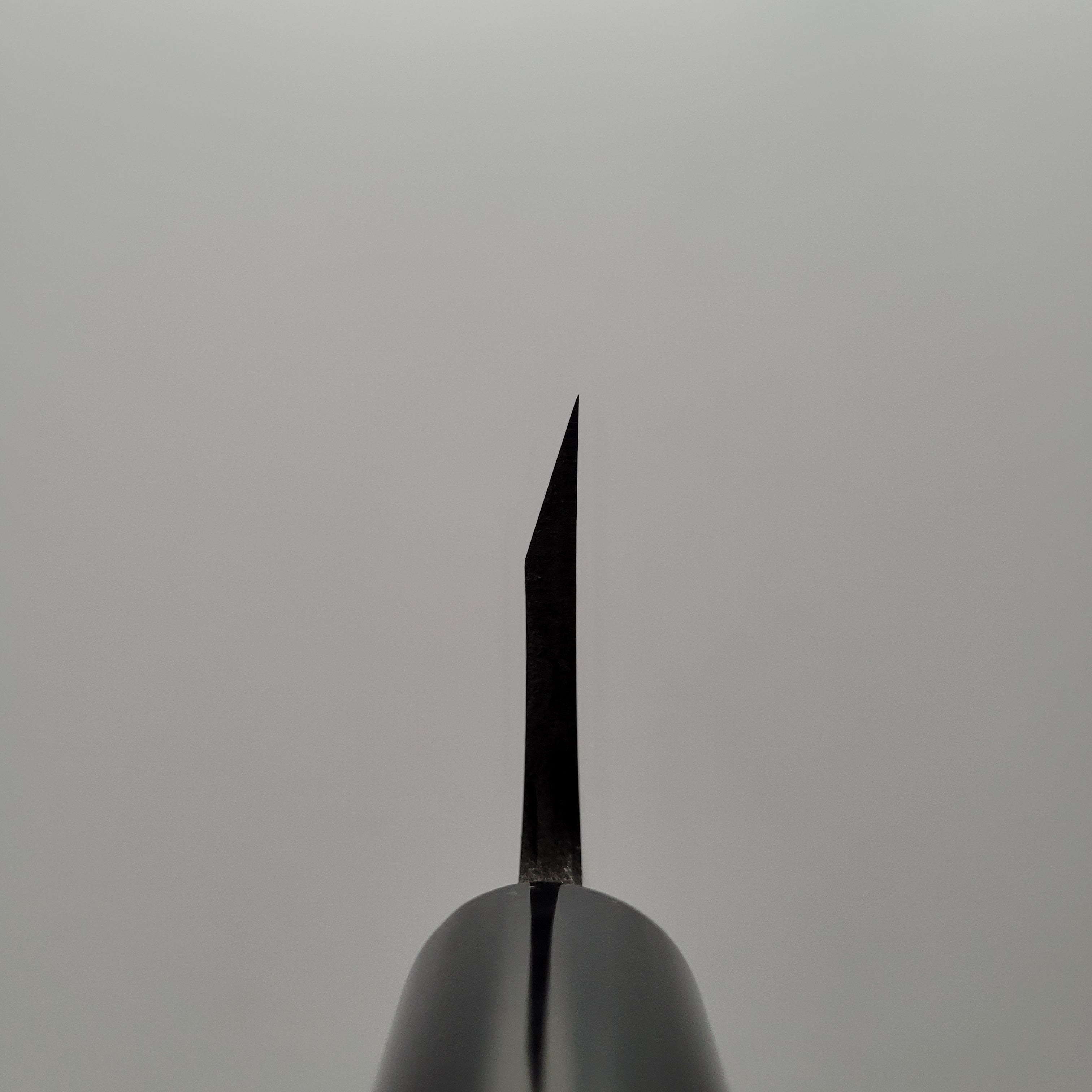 Hitohira Gorobei White #3 Deba 165mm Ho Wood Handle
