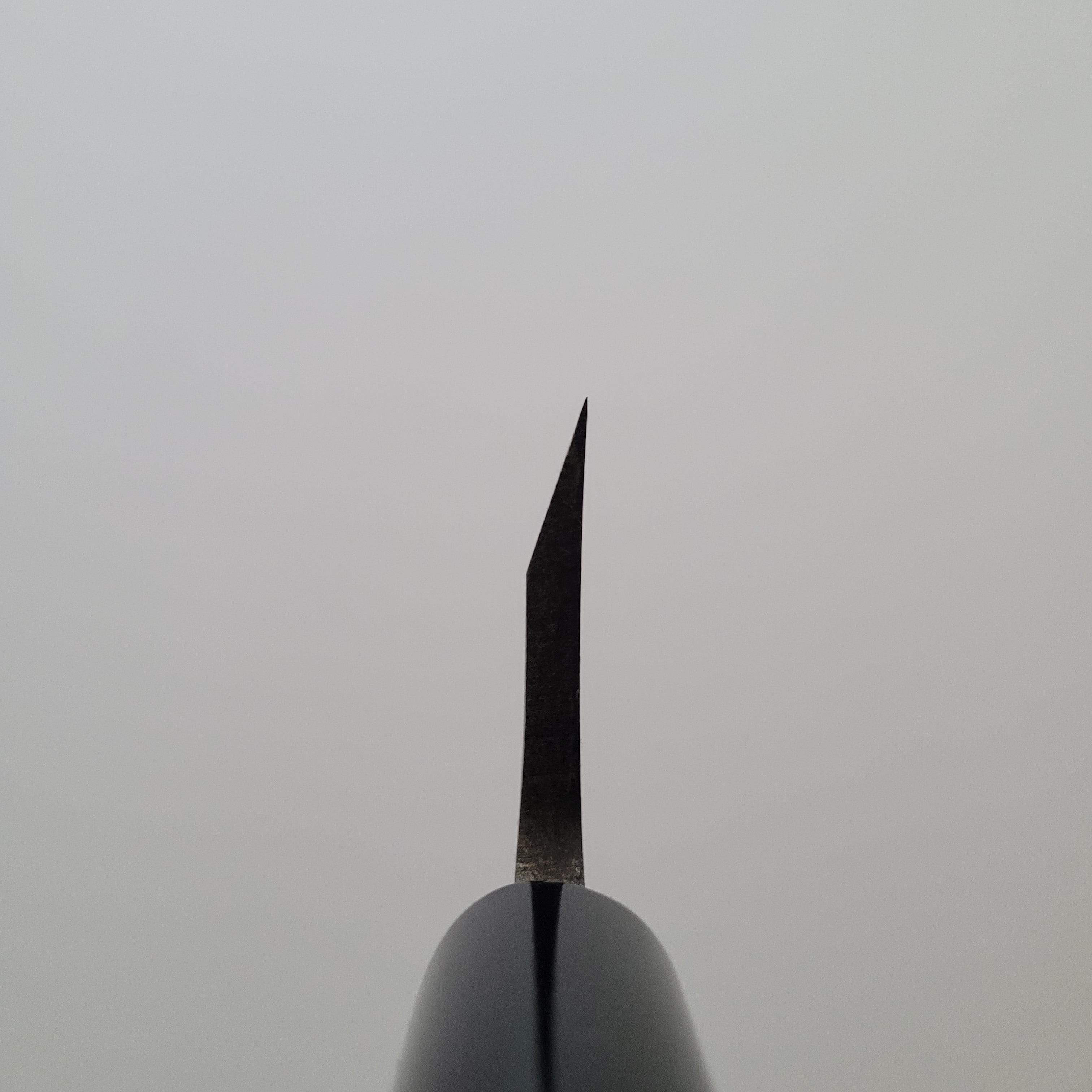 Hitohira Gorobei Blue #2 Deba 150mm Ho Wood Handle