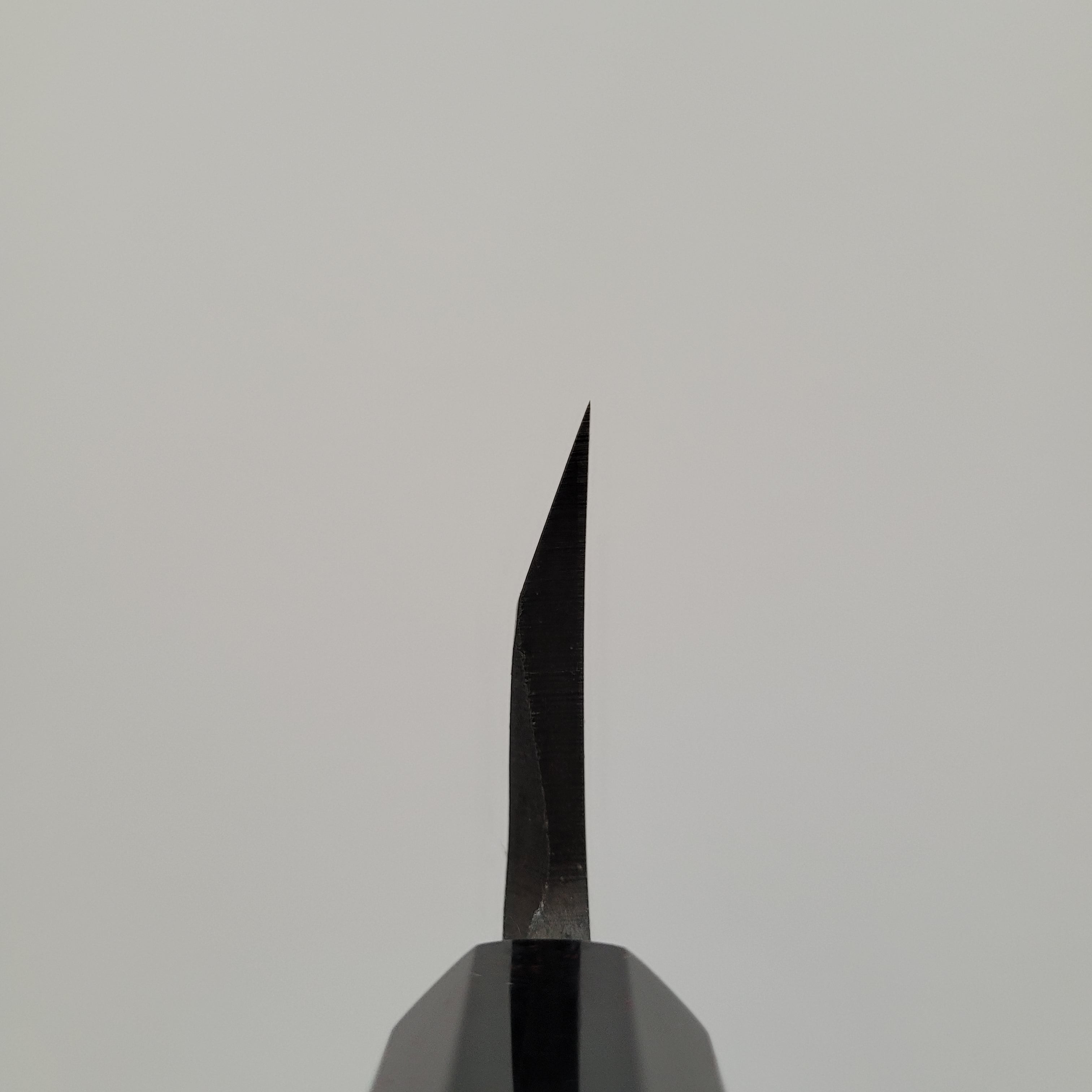 Hatsukokoro Blue #2 Shirasagi Kurouchi Tsuchime Kiritsuke Deba 165mm Wenge Handle