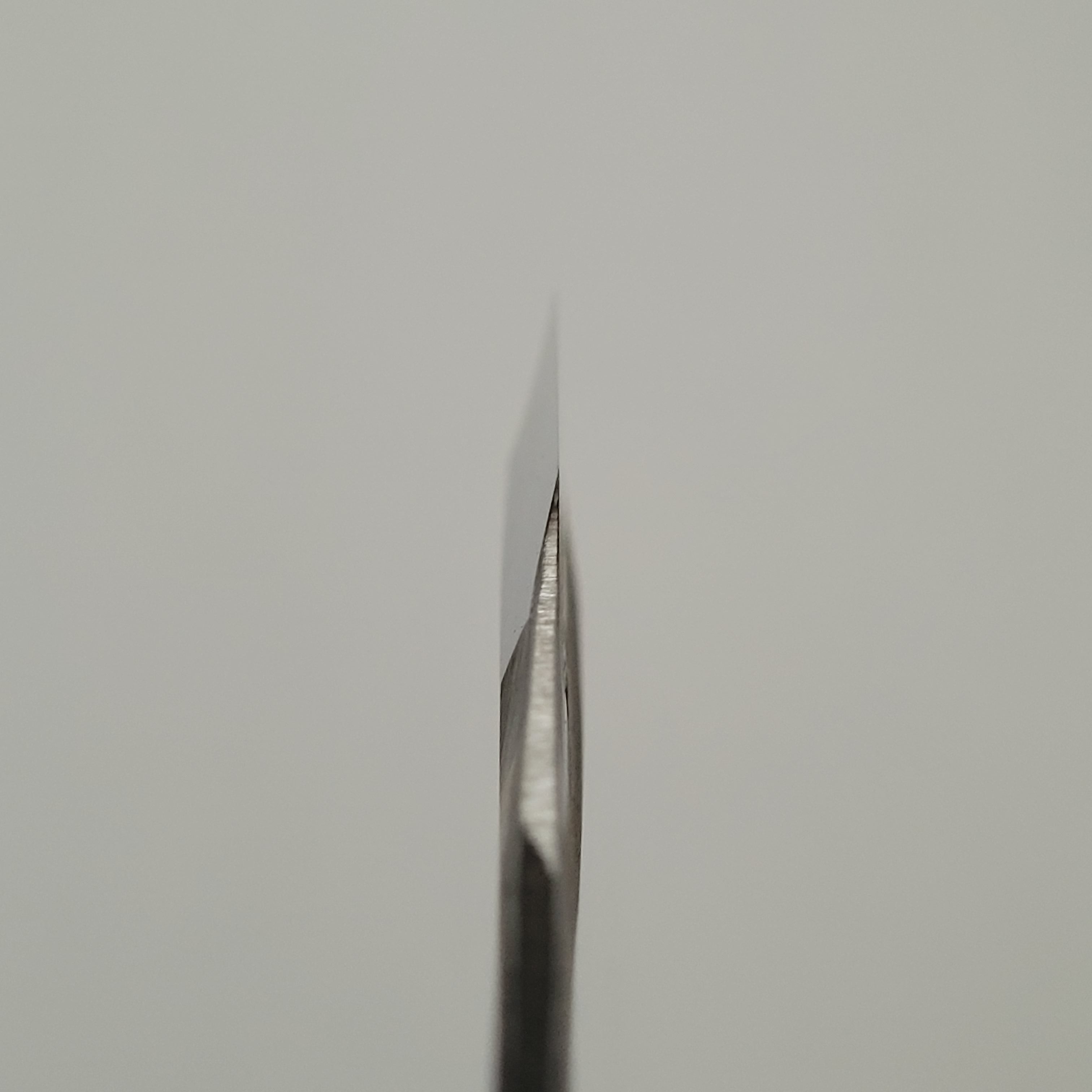 Iwasaki Kamisori Razor Medium