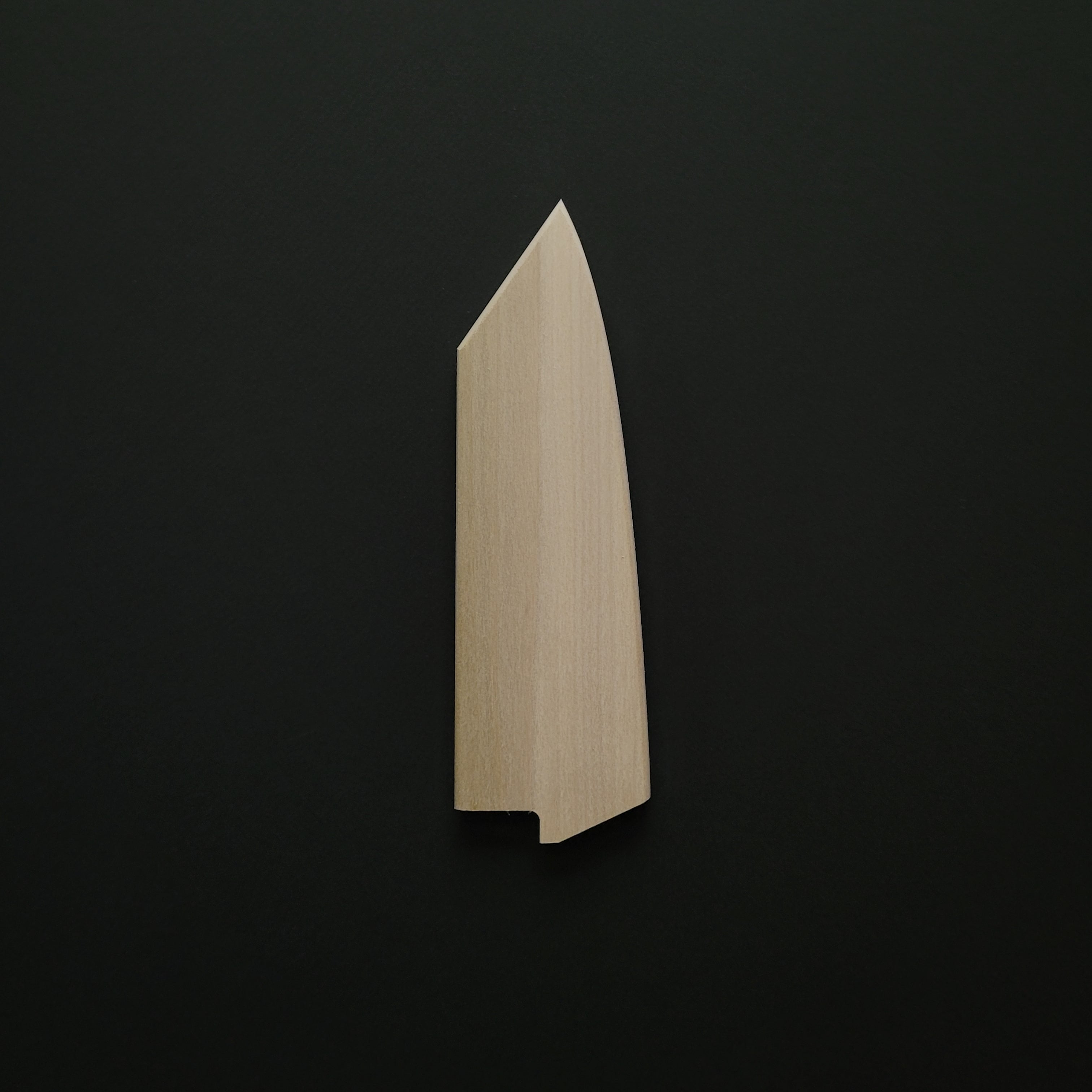 Edro Magnetic Poplar Saya (Sheath)