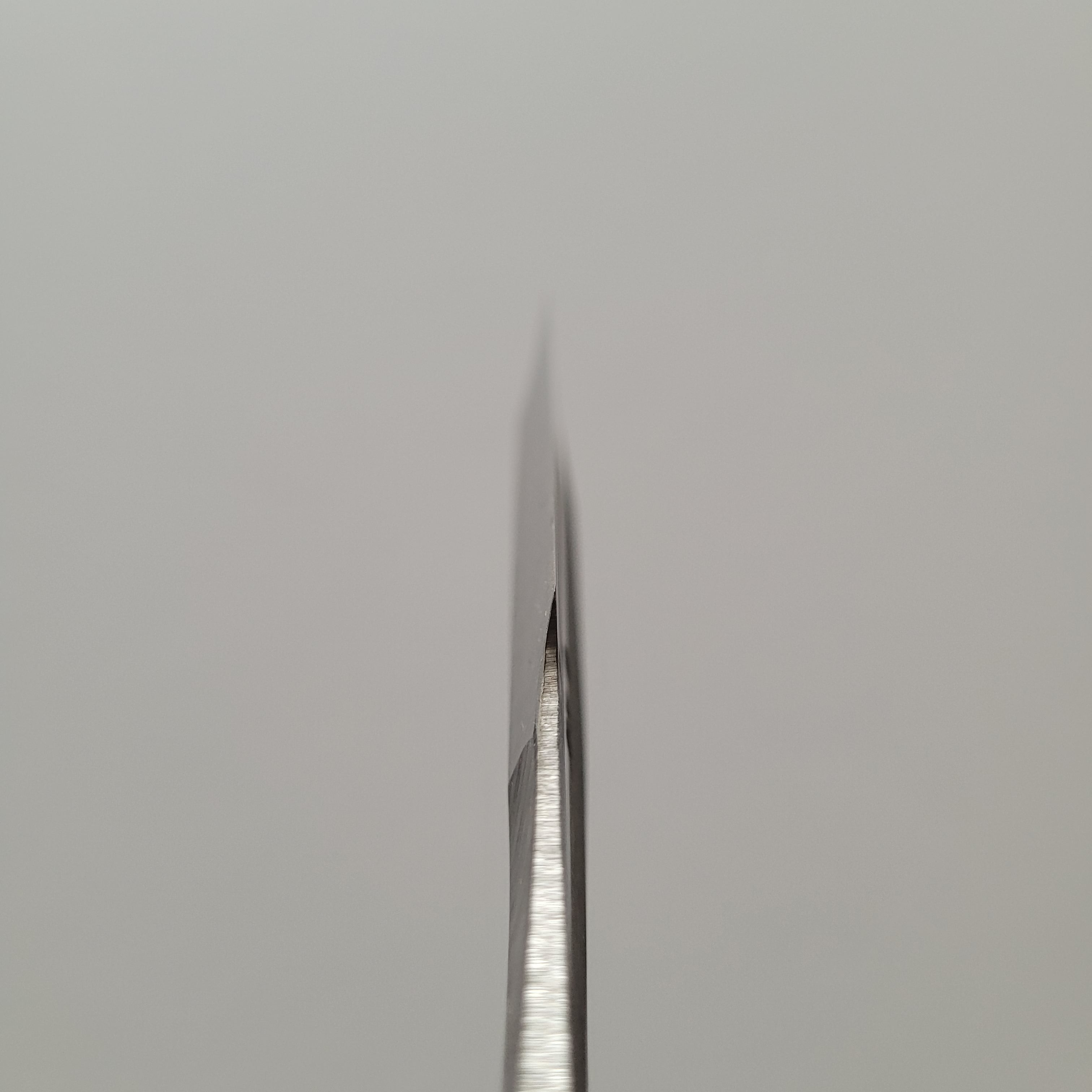 Iwasaki Kamisori Razor Large