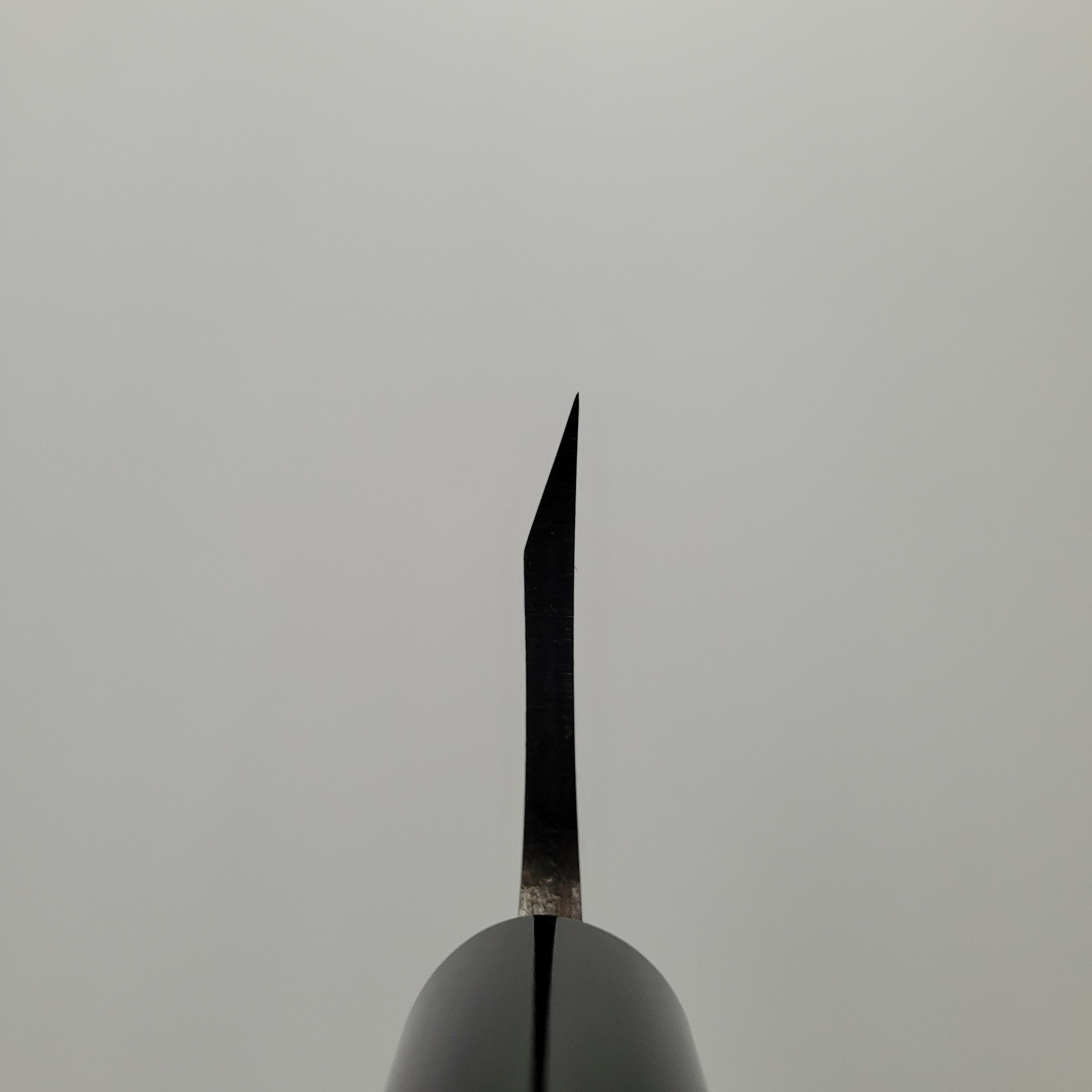 Hitohira Gorobei Blue #2 Deba 180mm Ho Wood Handle (D-Shape)