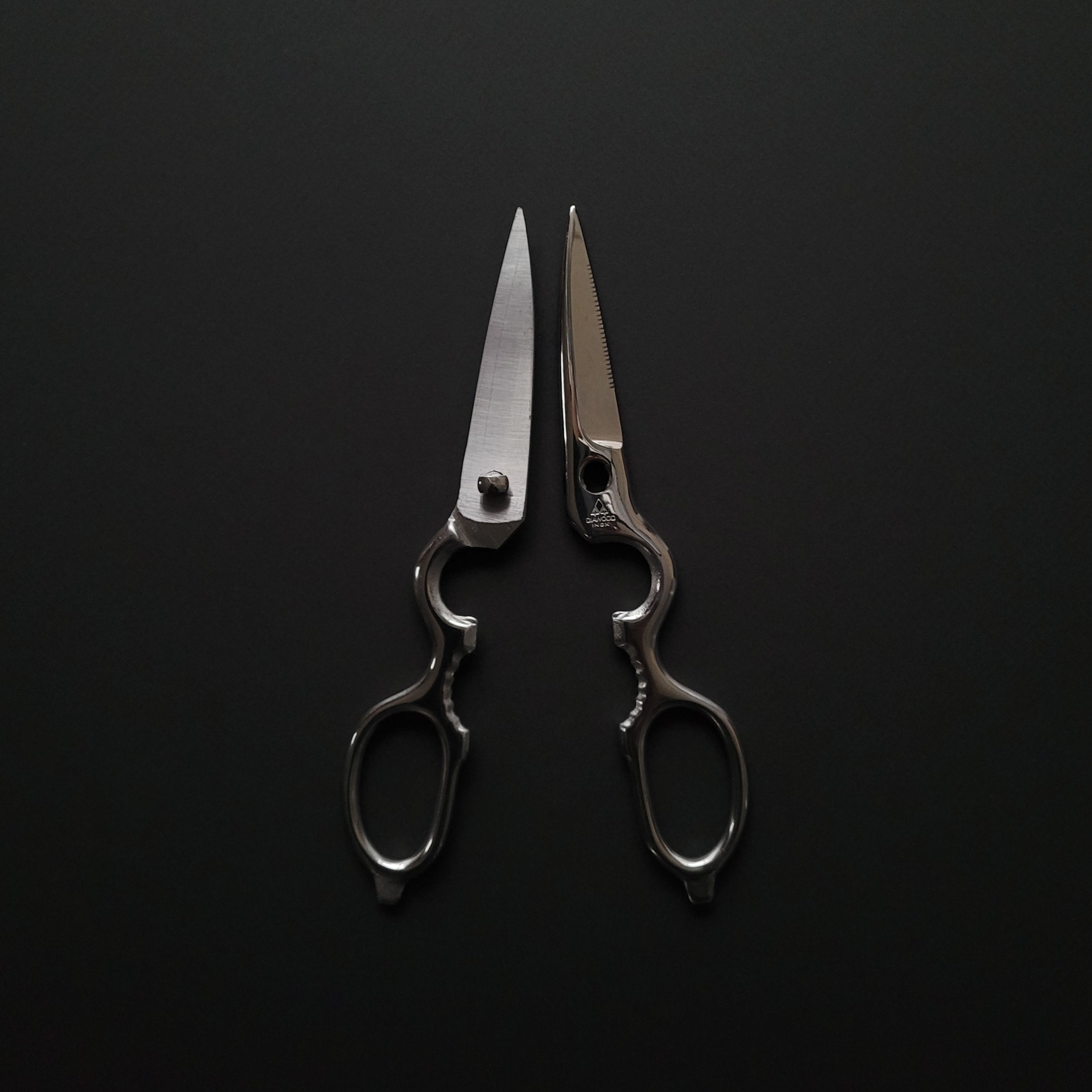 Diawood INOX Kitchen Shears