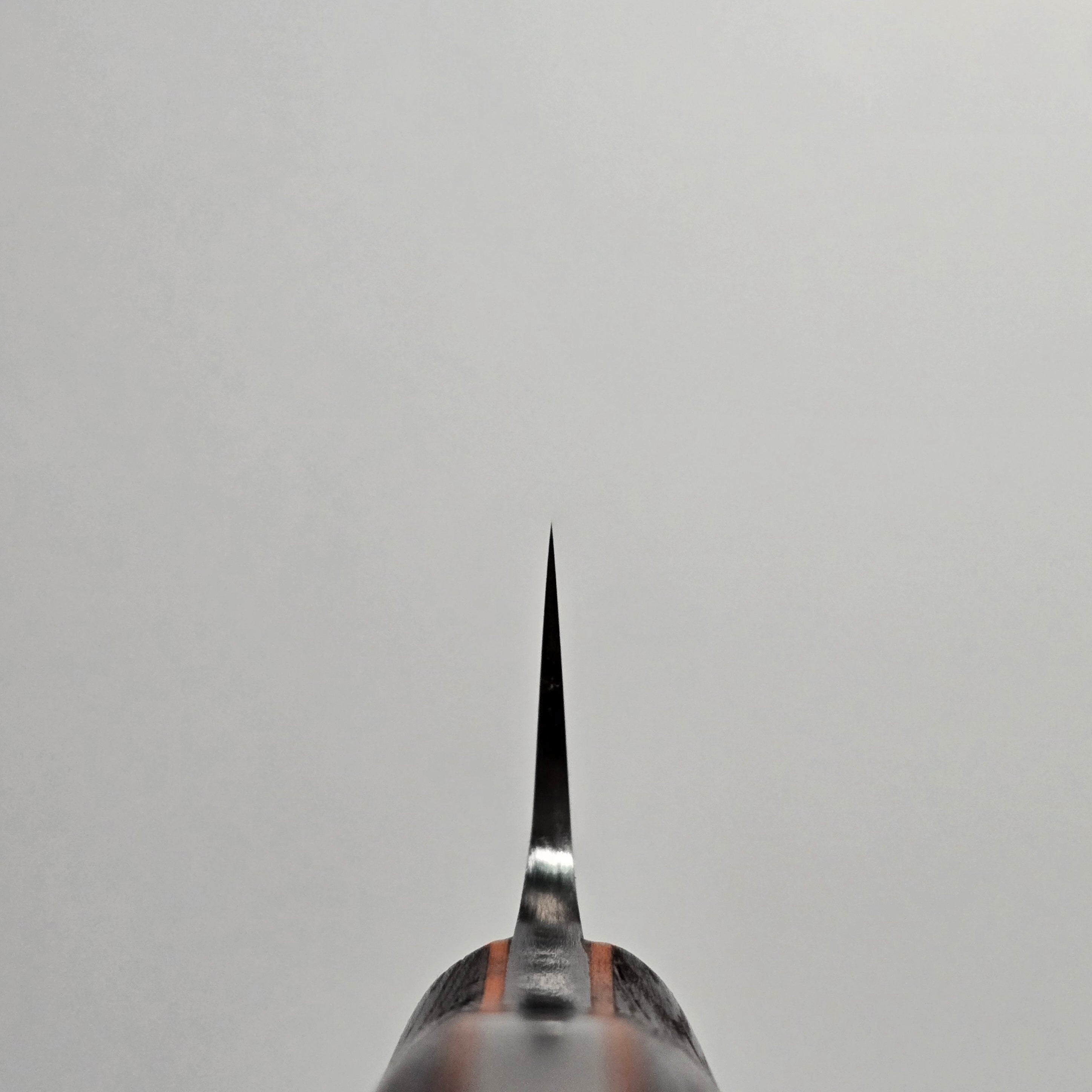 Jiro Tsuchime Yo Sujihiki 240mm Tagayasan Handle (#733)