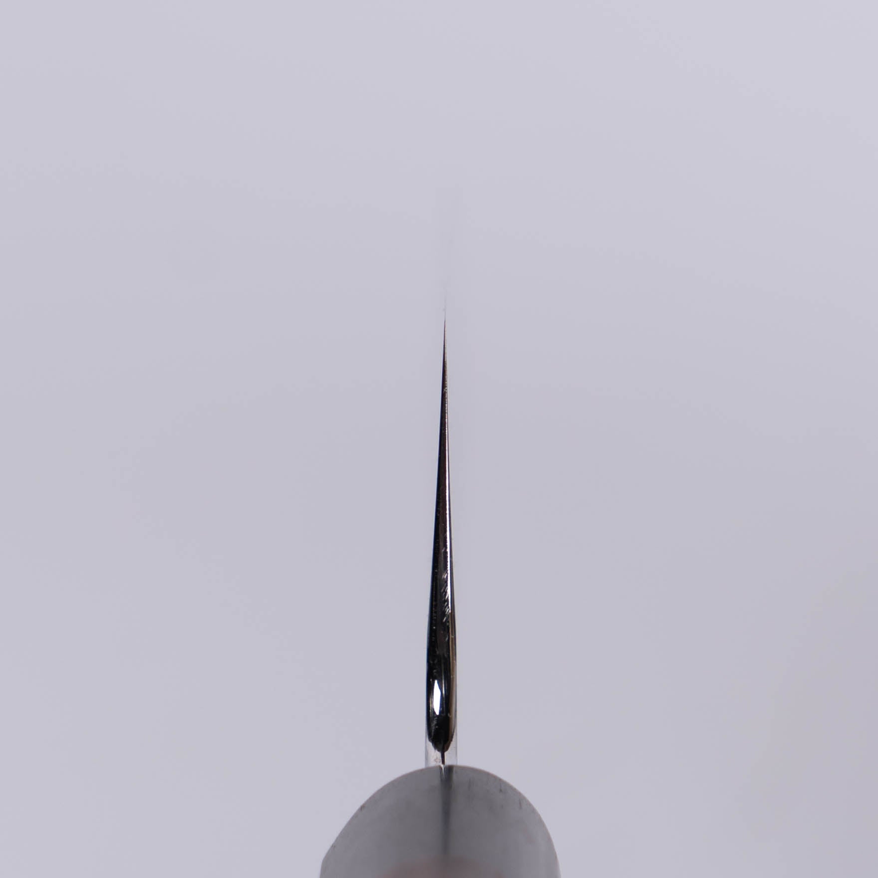 Bunny Blades Performance Gyuto 195mm Rosewood Handle