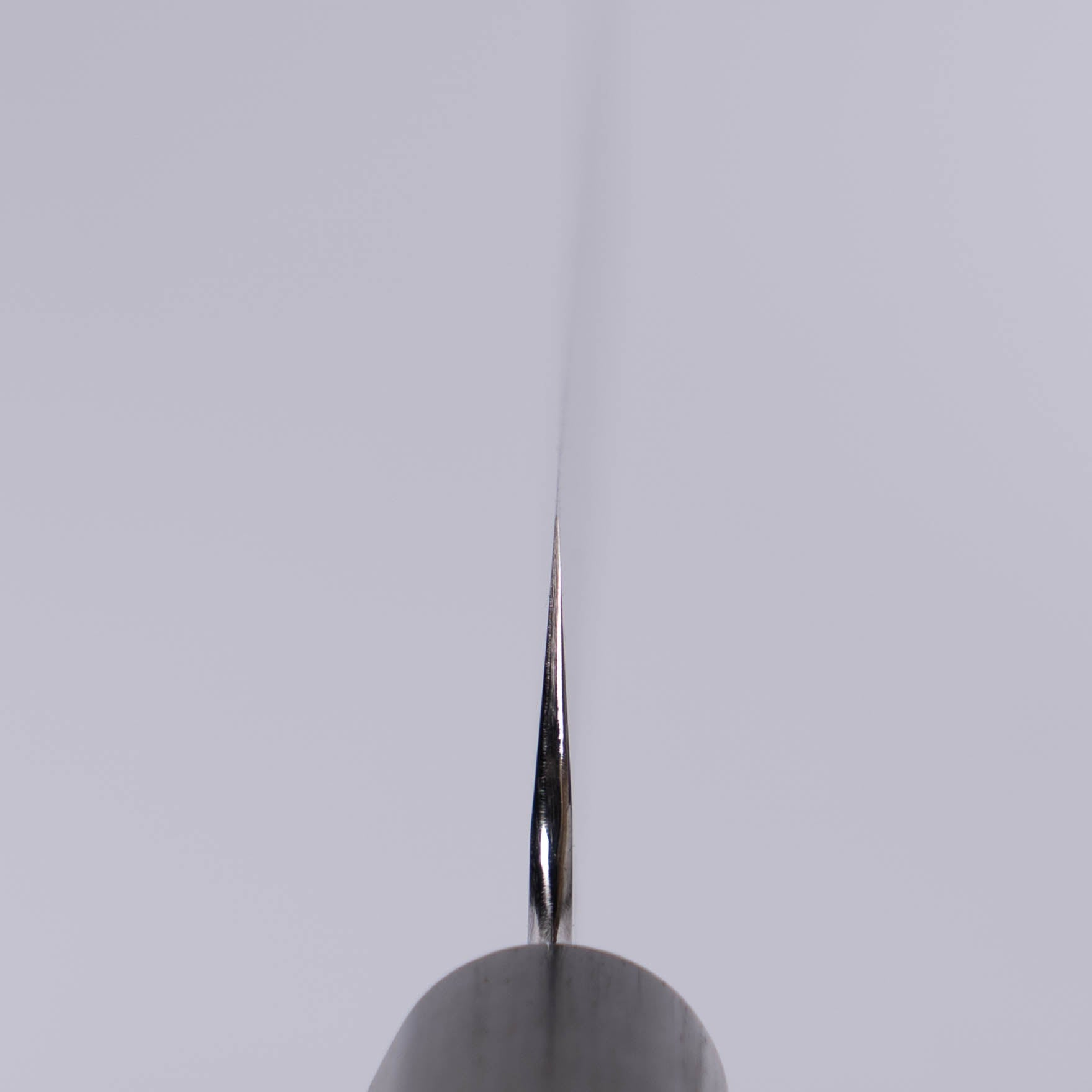 Bunny Blades Performance Sujihiki 230mm Rosewood Handle