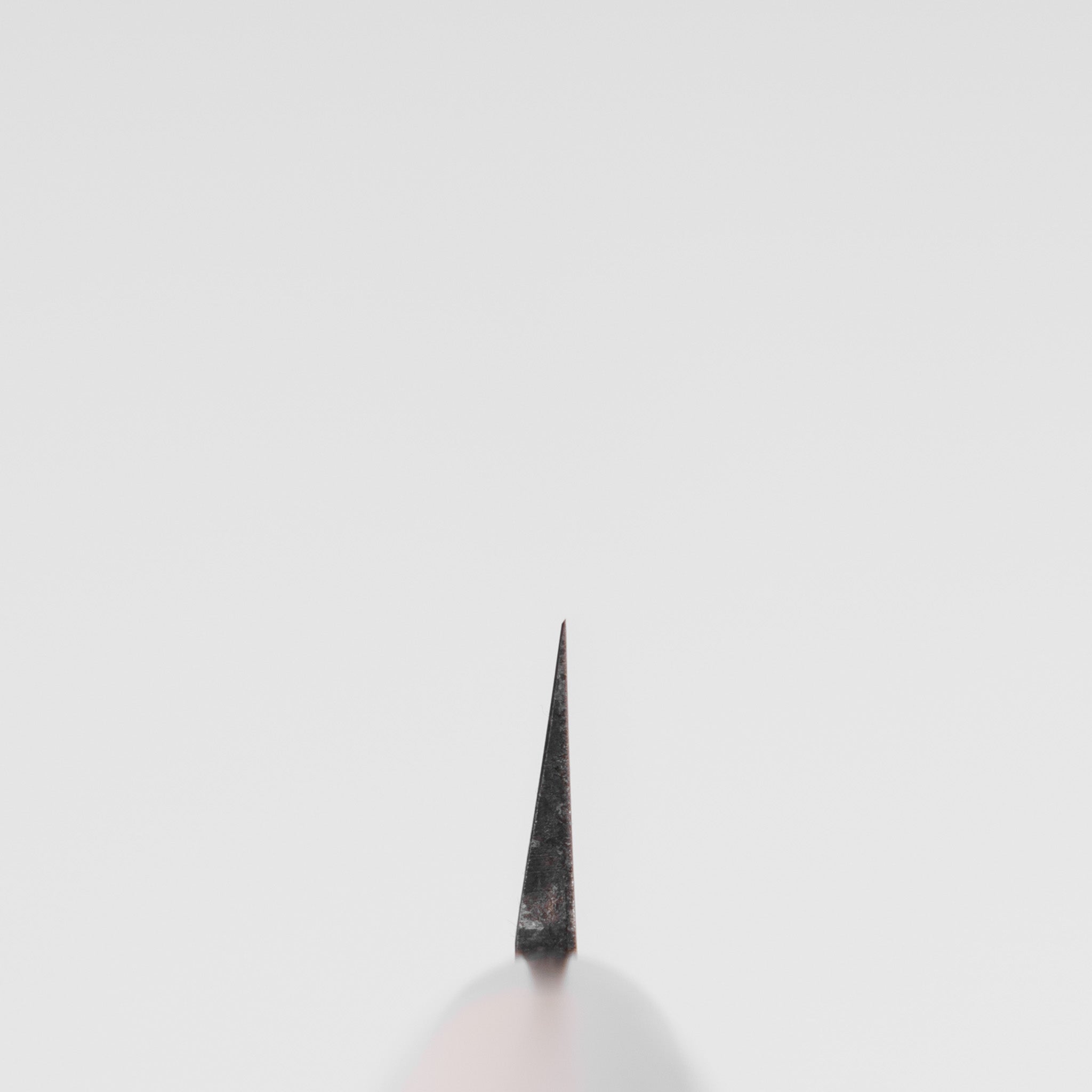 Hitohira Carbon Yanagiba 210mm Ho Wood Handle