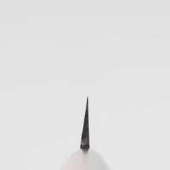 Hitohira Carbon Yanagiba 210mm Ho Wood Handle