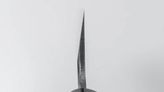 Hitohira Togashi White #2 Hamokiri 270mm Ho Wood Handle (D-Shape)