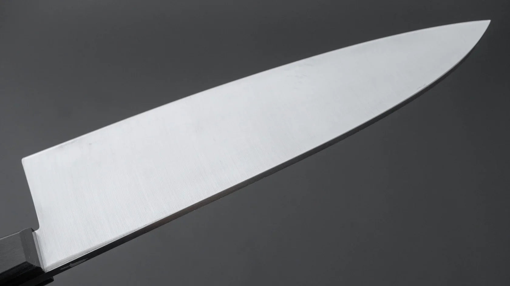 Hitohira Hiragana Deba 210mm Pakka Handle (No Bolster)