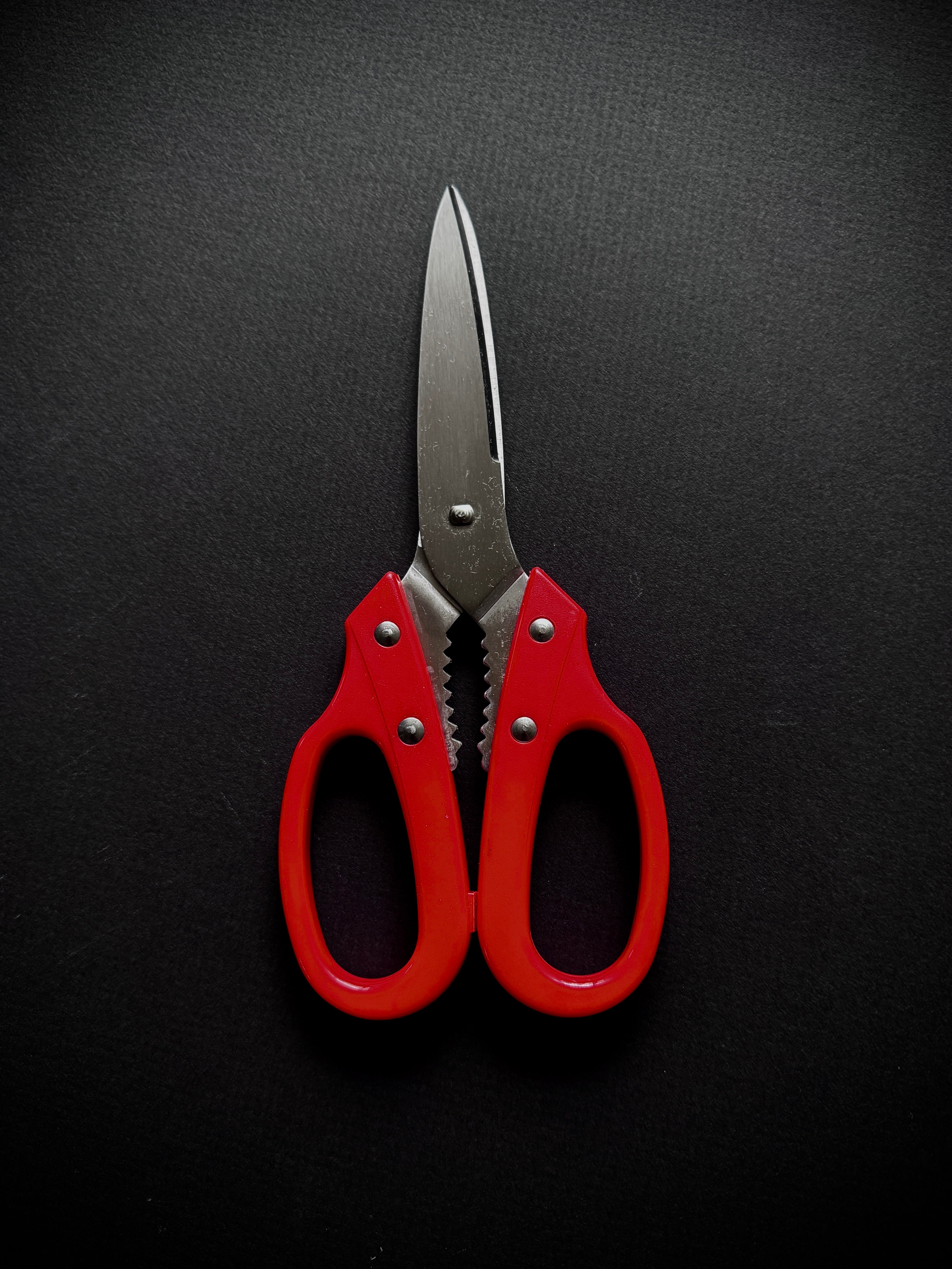 ALLEX Kitchen Shears