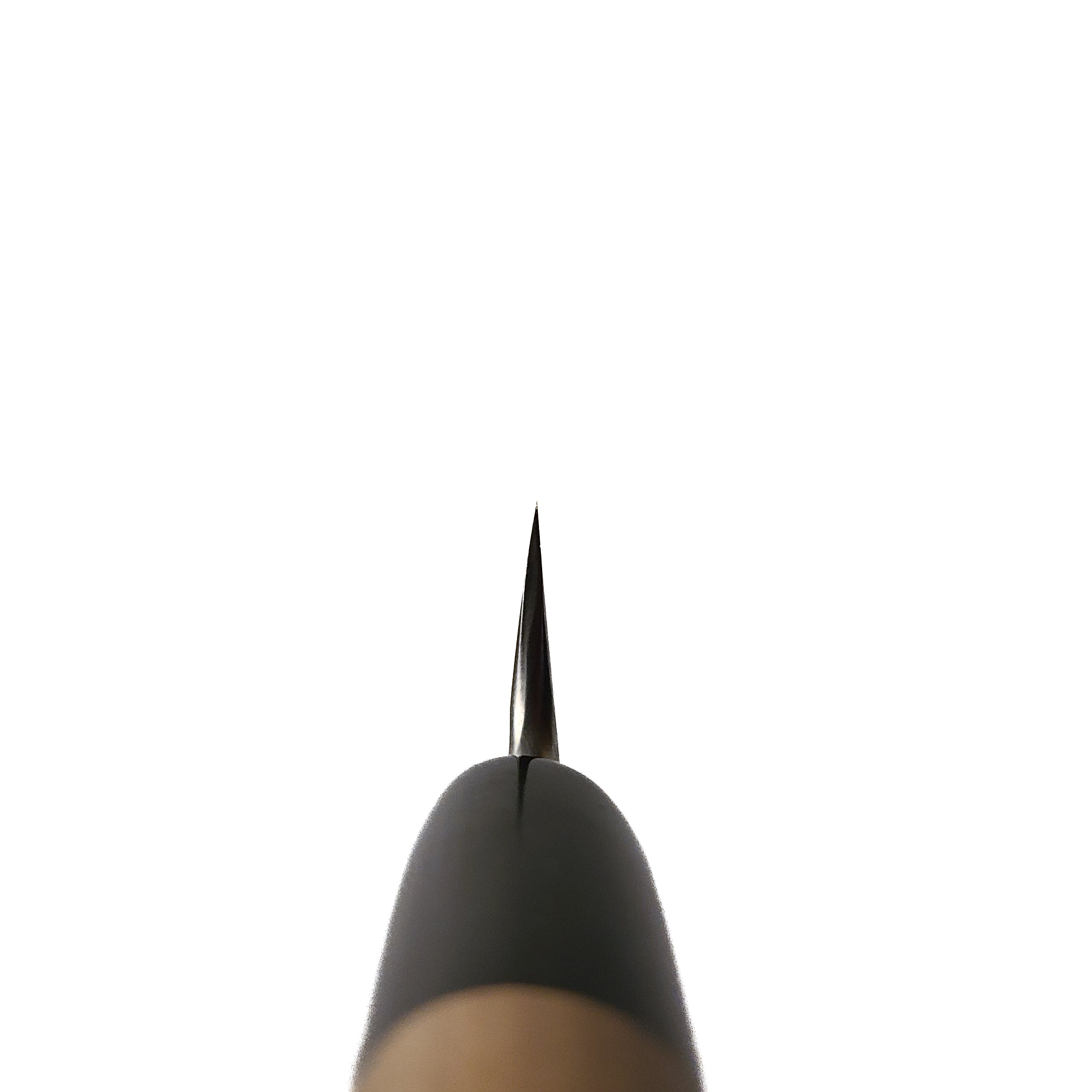 *Raffle* Shigefusa Kitaeji Yanagiba 300mm Ho Wood Handle (Kiri Box)