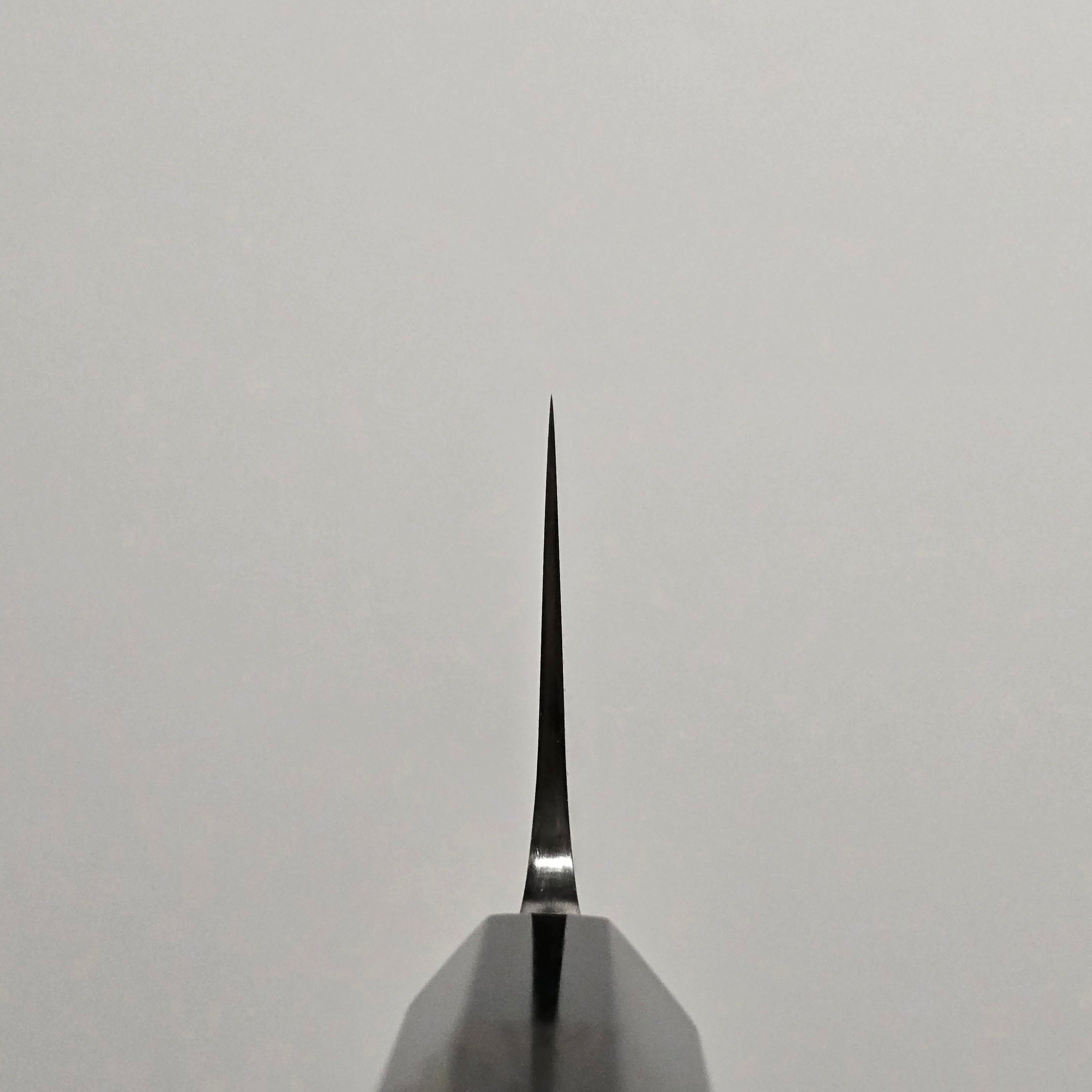 Jiro Tsuchime Wa Gyuto 225mm Taihei Tagayasan Handle (#718)