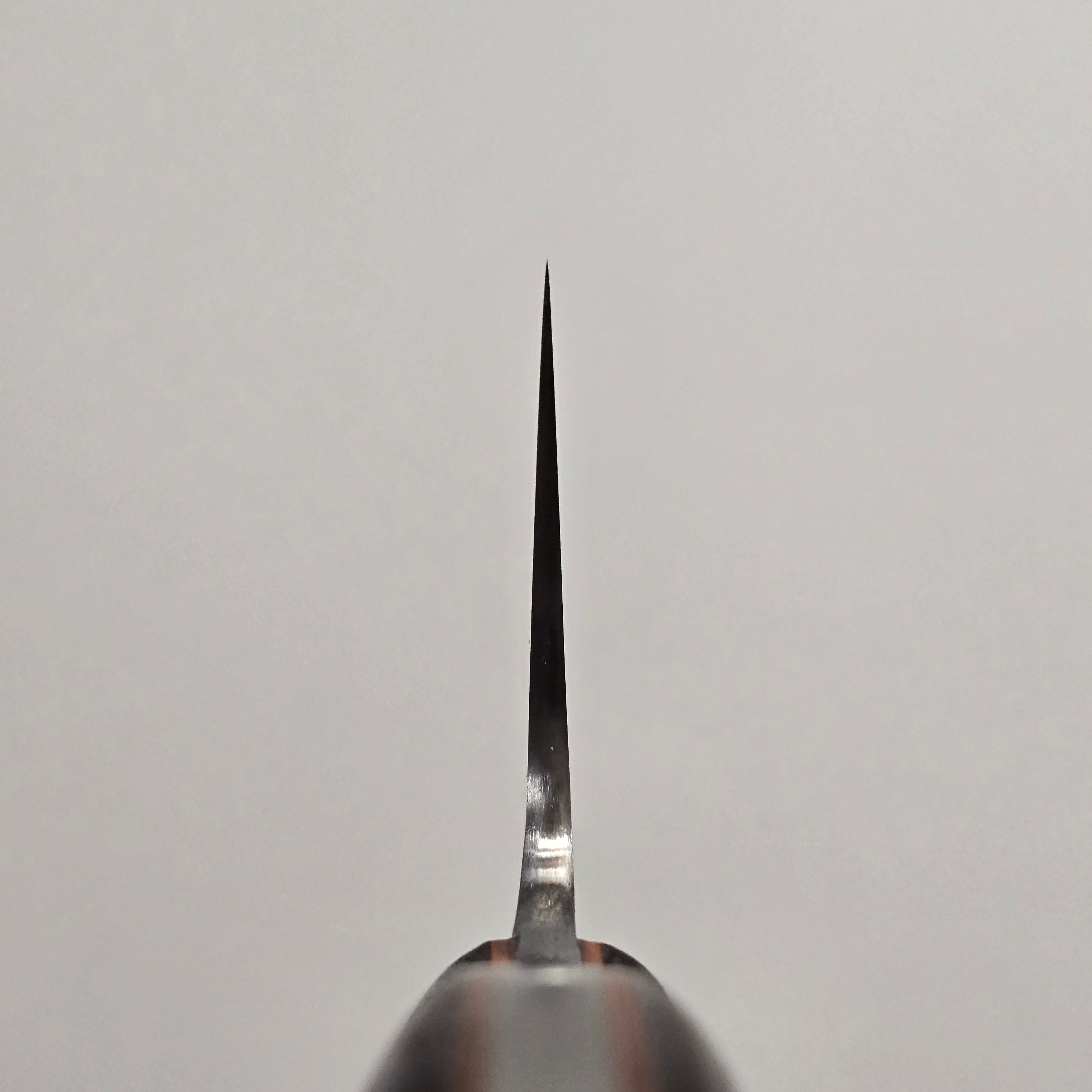 *RAFFLE* Jiro Tsuchime Wa Gyuto 210mm Taihei Tagayasan Handle (#704)