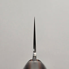 *RAFFLE* Jiro Tsuchime Wa Gyuto 210mm Taihei Tagayasan Handle (#704)